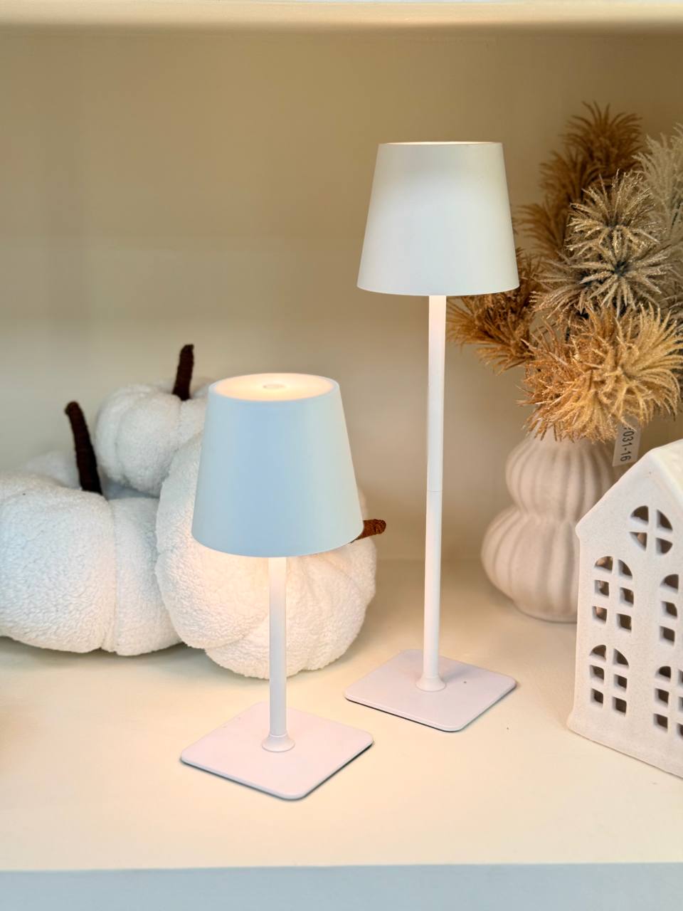 photo_2025-10-30_16-50-40