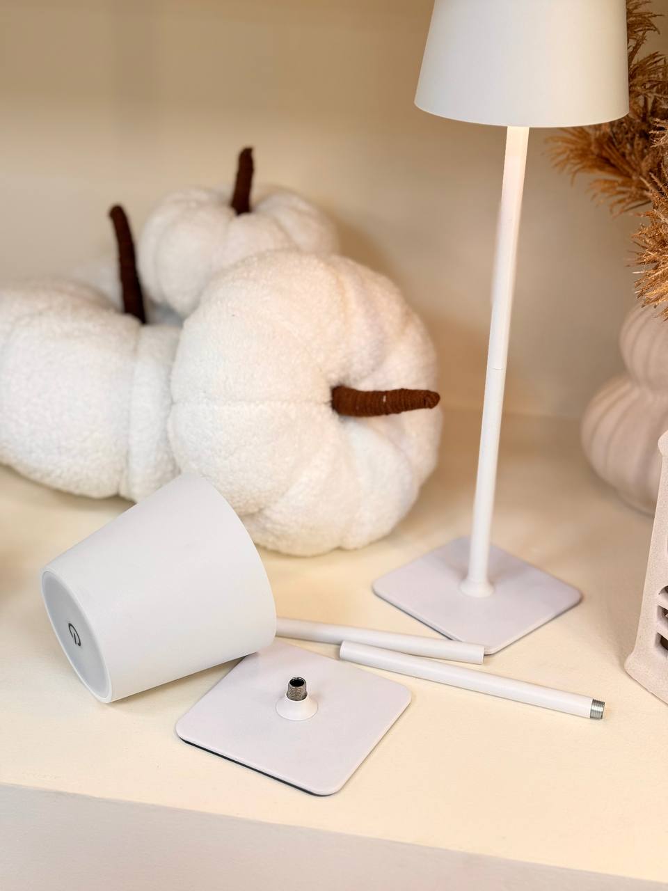 photo_2025-10-30_16-50-42