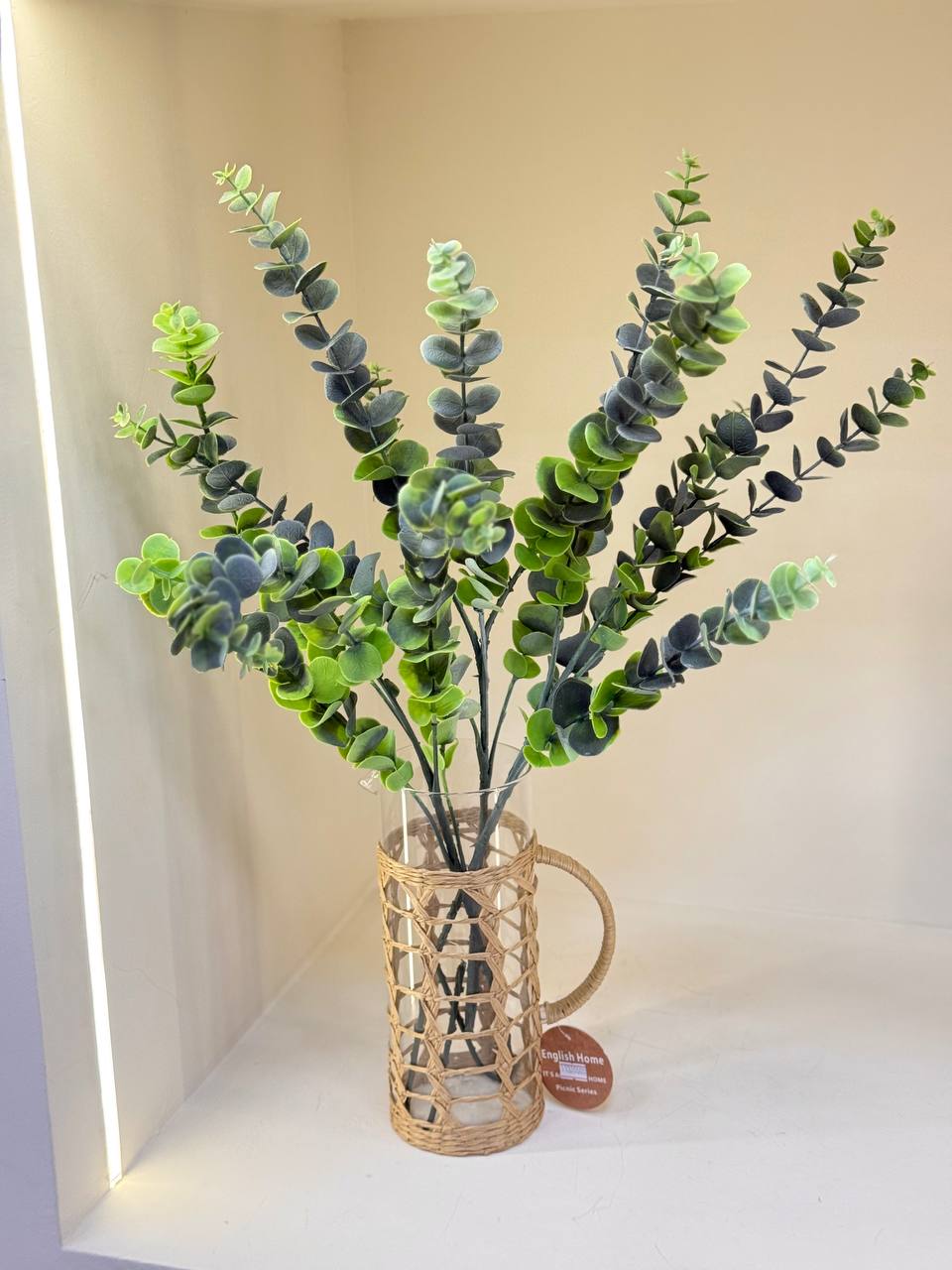 photo_2025-11-22_16-19-56