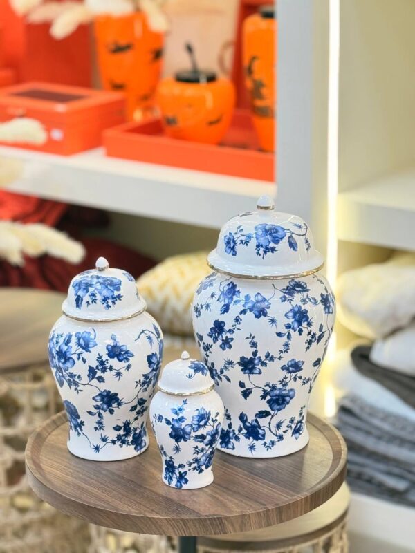 جار رومینا ابی 1017